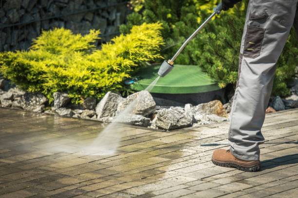 Animal Enclosure Cleaning in Roslyn Heights, NY
