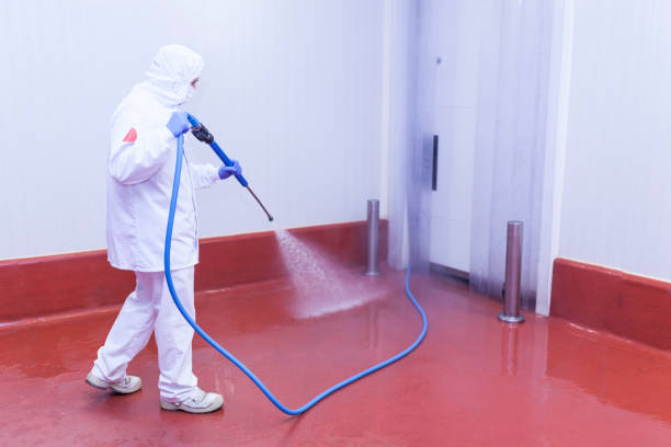 Professional  Pressure Washing Services in Roslyn Heights, NY
